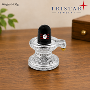 Silver Black Shivling with Abhishek Dhara