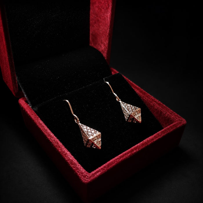 Plain Gold 2 Tone Designer Earrings